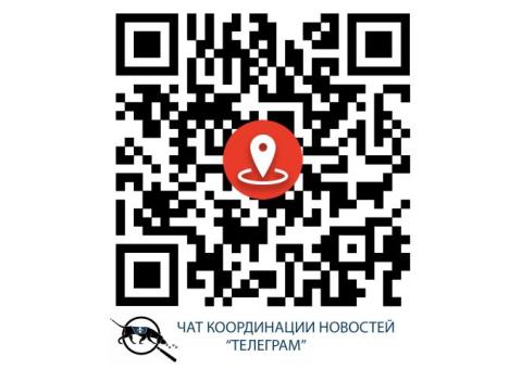 В Чехове пропала собака без породы