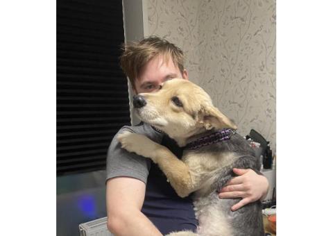 В Уфе, в районе Зубово пропала собака